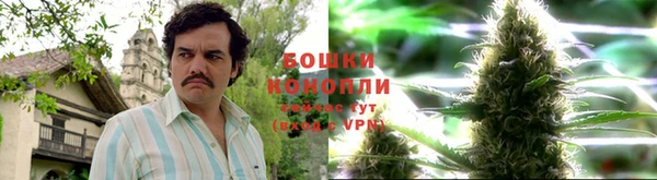 амф Аша