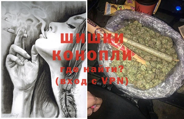 мдпв Волоколамск