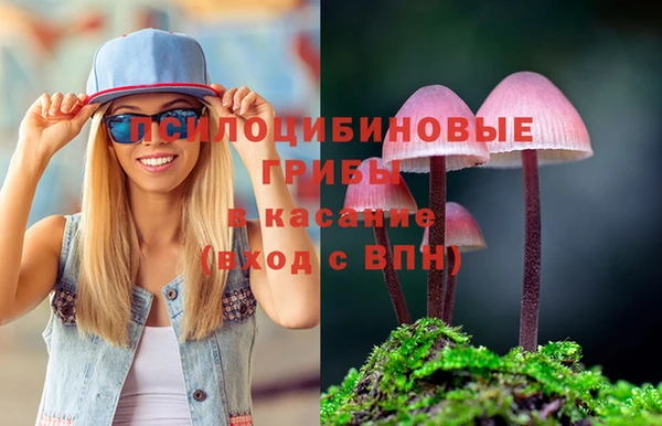 а пвп мука Няндома