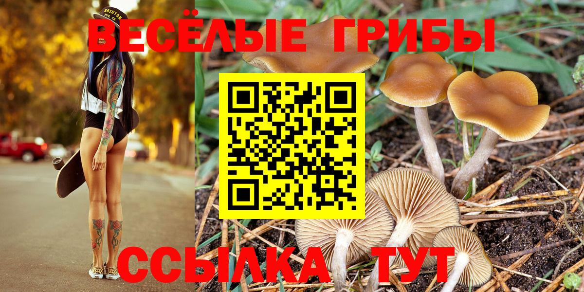 Беслан  Псилоцибиновые грибы мухоморы  Вход с VPN 