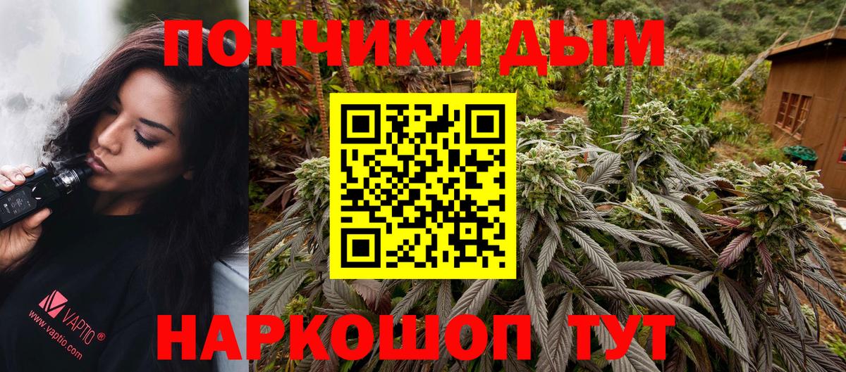 Конопля сатива  Вход с VPN  МАРИХУАНА планчик  Канабис планчик  Беслан  Канабис семена 